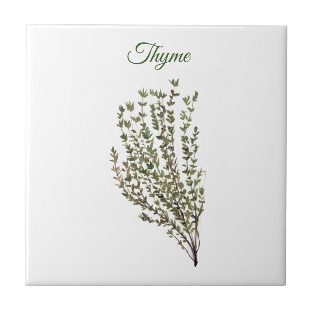 Thyme Herb Greenery Küche Kulinarisch Grüne Pflanz Fliese (Vorderseite)