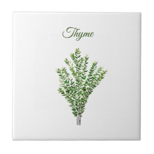 Thyme Herb Greenery Küche Kulinarisch Grüne Pflanz Fliese