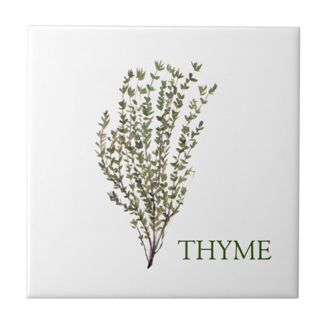 Thyme Herb Greenery Küche Kulinarisch Grüne Pflanz Fliese (Vorderseite)