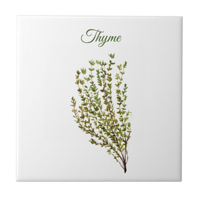 Thyme Herb Grüne Küche Kulinarisches Grüne Pflanze Fliese (Vorderseite)