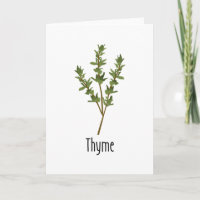 Thyme Spices Herb