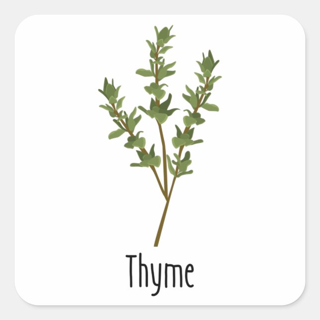 Thyme Spices Herb Quadratischer Aufkleber (Vorderseite)