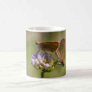 Thymelicus lineola kaffeetasse