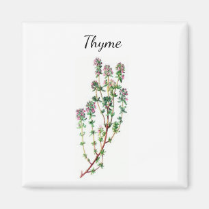 Thymian Herb Magnet
