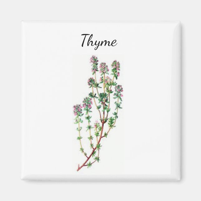 Thymian Herb Magnet (Vorne)