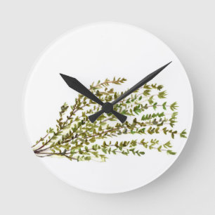 Thymian Kräuterkunst Aquarellmalerei Runde Wanduhr
