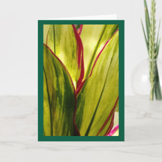 Ti-Blätter, leere Karte