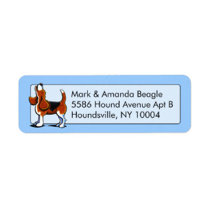 Ti-color Beagle Bay Studio Blue