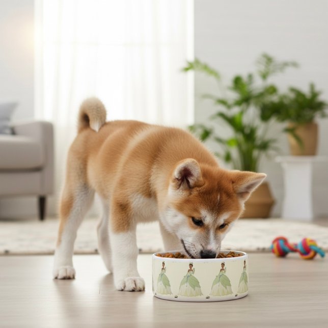 Tiana Bowl Napf (Von Creator hochgeladen)