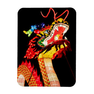 Tianlong-Drache Magnet