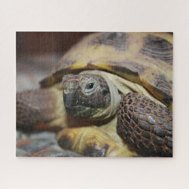 Tibbs Puzzle (Horizontal)