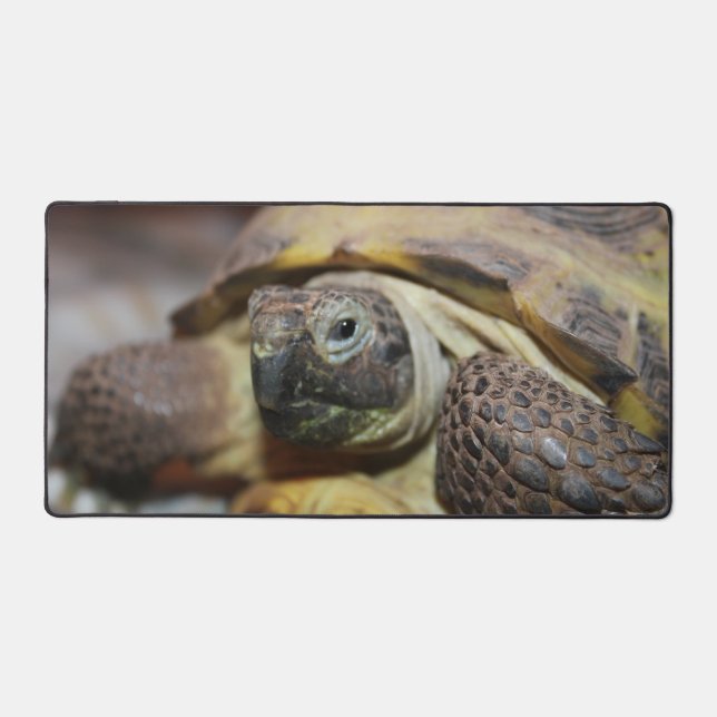 Tibbs Schreibtischunterlage (Vorderseite)