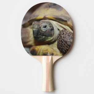 Tibbs Tischtennis Schläger