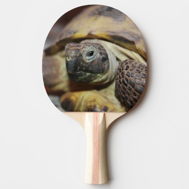 Tibbs Tischtennis Schläger (Vorderseite)