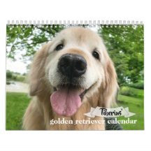 Tiberius 2020 Goldener Retriever