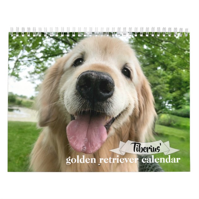 Tiberius 2020 Goldener Retriever Kalender (Titelbild)