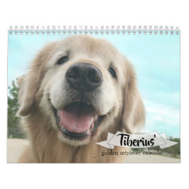 Tiberius golden retriever 2019 AugieDoggy Kalender