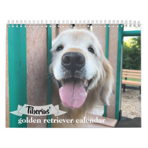Tiberius’ Goldener Hundekalender 2021 Kalender