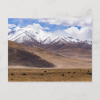 Tibet - Berglandschaft mit Yaks
