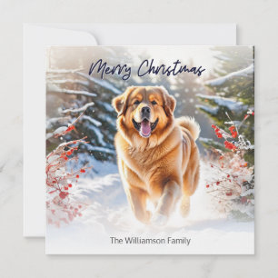 Tibet-Mastiff-Hund in einer Schneeszene Frohe Weih Feiertagskarte