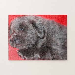 Tibet-Mastiff-Hunde-Puzzles. Puzzle