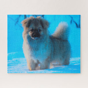 Tibet Spaniel Hunde Puzzles