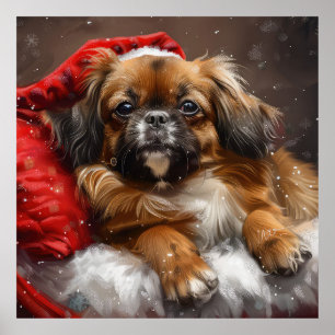Tibet-Spaniel Weihnachtsfestlich Poster