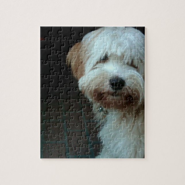 Tibet-Terrier 2 Puzzle (Vertikal)