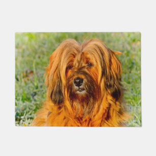 Tibet-Terrier Fußmatte