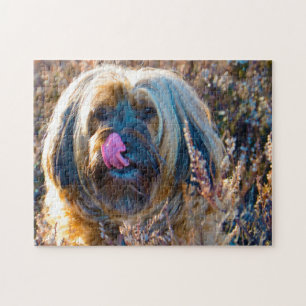 Tibet Terrier Hund Puzzles. Puzzle