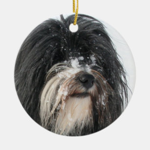 Tibet_Terrier.png Keramikornament
