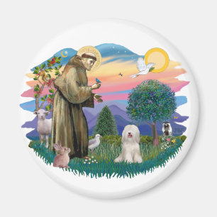 Tibet-Terrier (weiß) Magnet