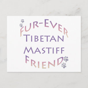 Tibetan Mastiff Furever Friend Postkarte