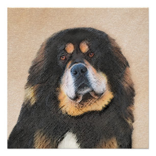 Tibetan Mastiff Painting - Cute Original Dog Art Poster