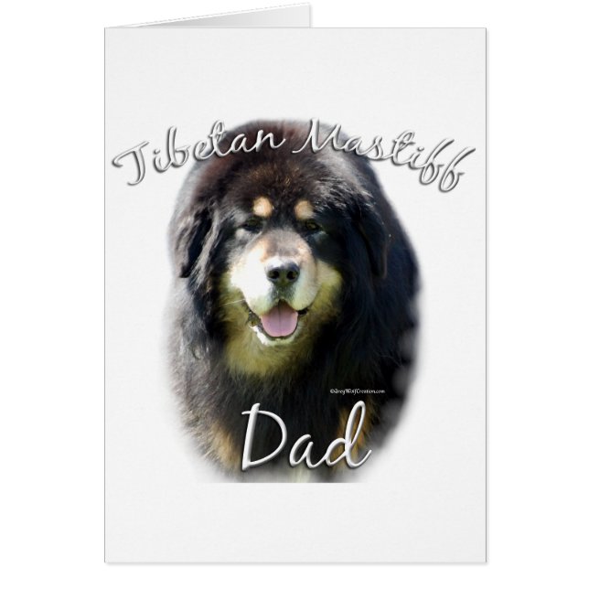 Tibetan Mastiff Vater 2 (Vorne)