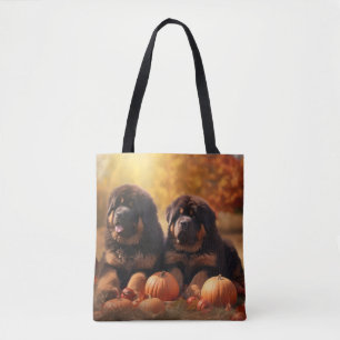 Tibetan-Mastiff-Welpe Herbstfreude Kürbis 