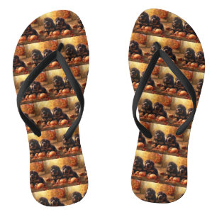 Tibetan-Mastiff-Welpe Herbstfreude Kürbis  Flip Flops