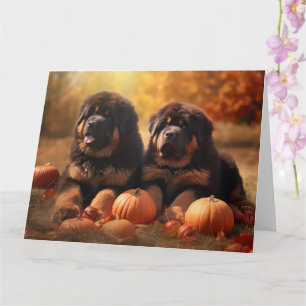 Tibetan Mastiff Welpe Herbstfreude Kürbis  Karte
