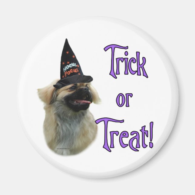 Tibetan Spanischer Trick Magnet (Vorne)