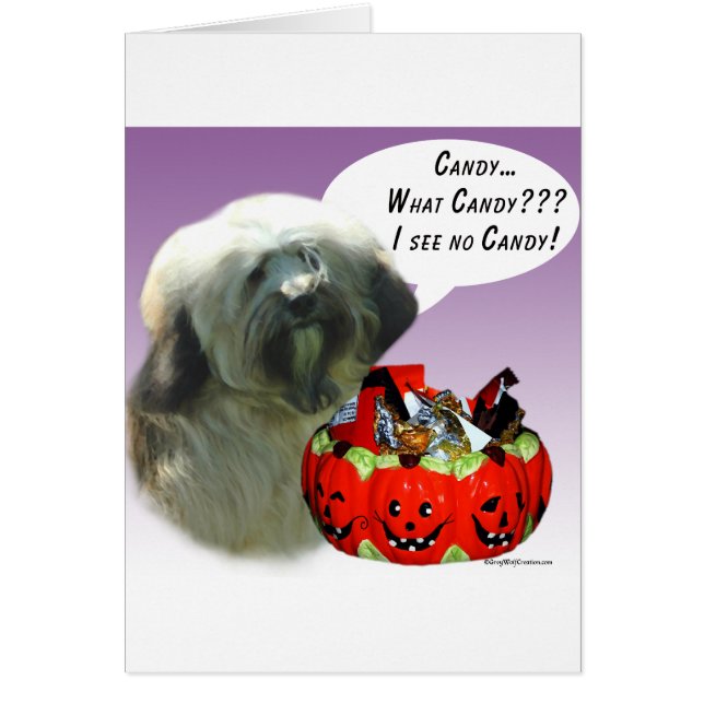 Tibetan Terrier Halloween Candy (Vorne)