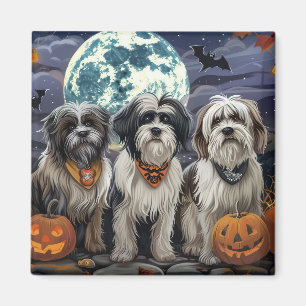 Tibetan Terrier Halloween Gruselig Magnet