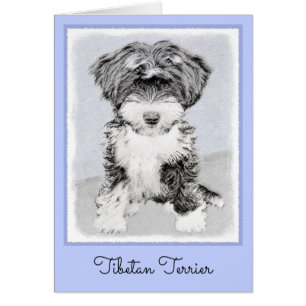 Tibetan Terrier Painting - Niedliche Original Dog