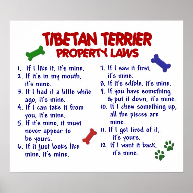 TIBETAN TERRIER PL2 POSTER (Vorne)