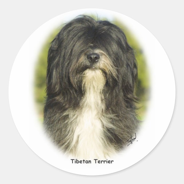 Tibetan Terrier Runder Aufkleber (Vorderseite)