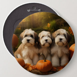 Tibetan Terrier Welpe Herbstfreude Kürbis Button