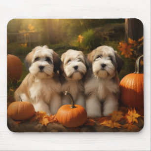 Tibetan Terrier Welpe Herbstfreude Kürbis Mousepad