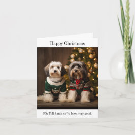 Tibetan Terriers Weihnachtskarte Karte