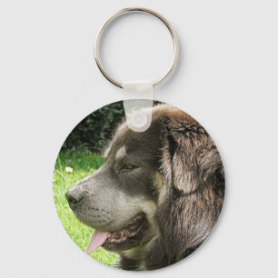 Tibetaner mastiff.png schlüsselanhänger