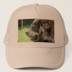 Tibetaner mastiff.png truckerkappe