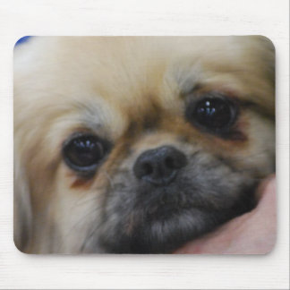 Tibetanische Spaniel-Welpen-Mausunterlage Mousepad